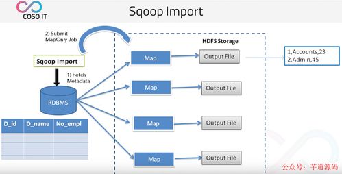 八款主流數(shù)據(jù)遷移工具技術(shù)選型解析，助力數(shù)據(jù)處理技術(shù)開發(fā)