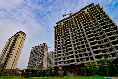 中央金融工作會議部署房地產新模式，行業(yè)利好信號釋放