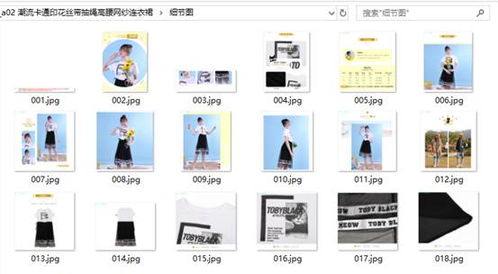 高效管理有貨商品圖片 分類下載與計算機(jī)軟硬件開發(fā)策略